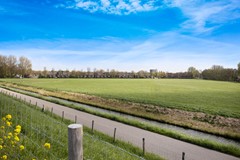 Scholekster 41_55.jpg